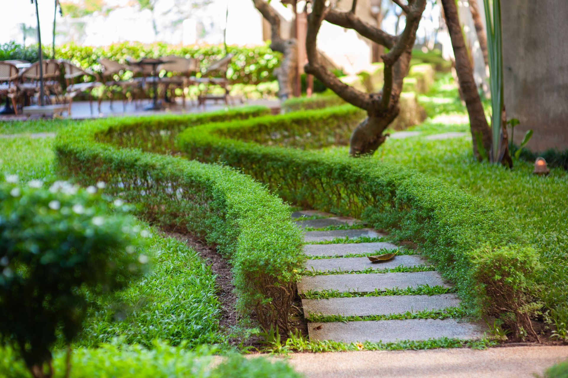 Curved garden path surrounded by verdant hedges and trees, evoking tranquility.