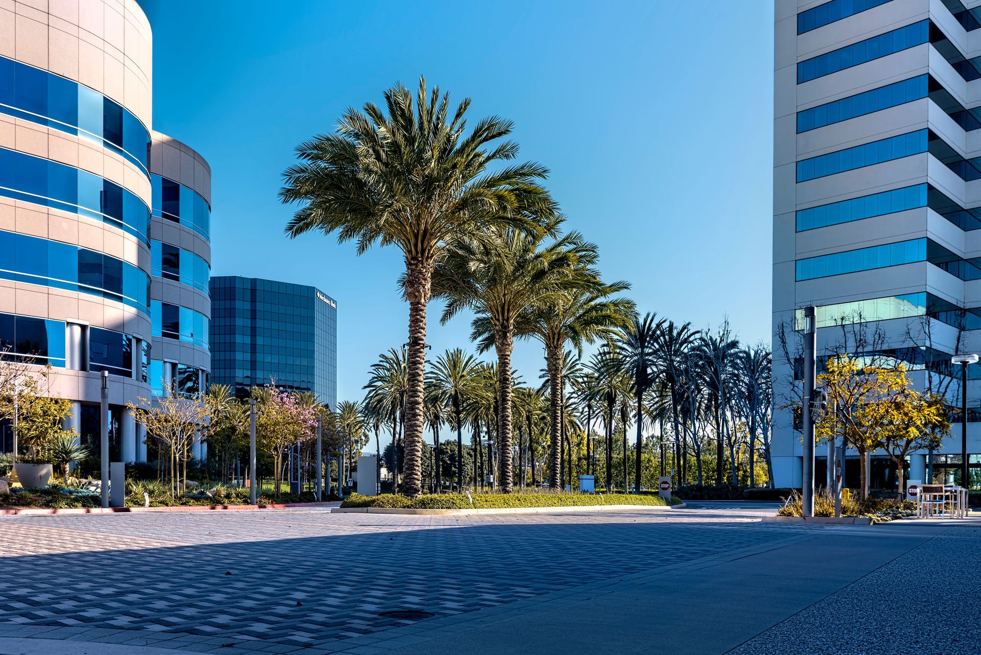 A city plaza surrounded by modern buildings and palm trees under a clear blue sky.